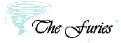 The Furies Linen Rentals & House Cleaning